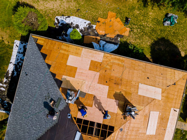 Best Shingle Roofing Installation  in St Clair Shores, MI