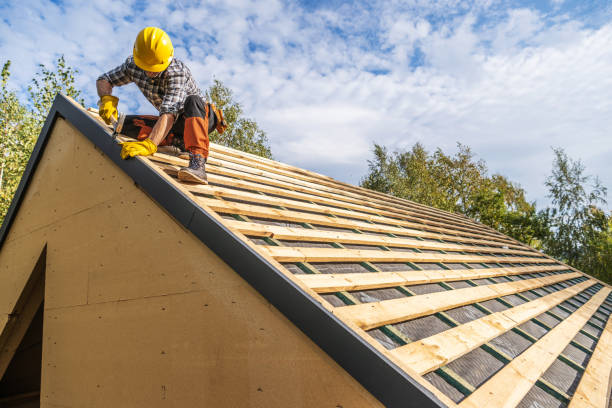 Best Storm Damage Roof Repair  in St Clair Shores, MI