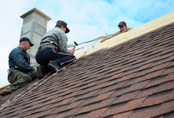 Best Residential Roofing Contractor  in St Clair Shores, MI